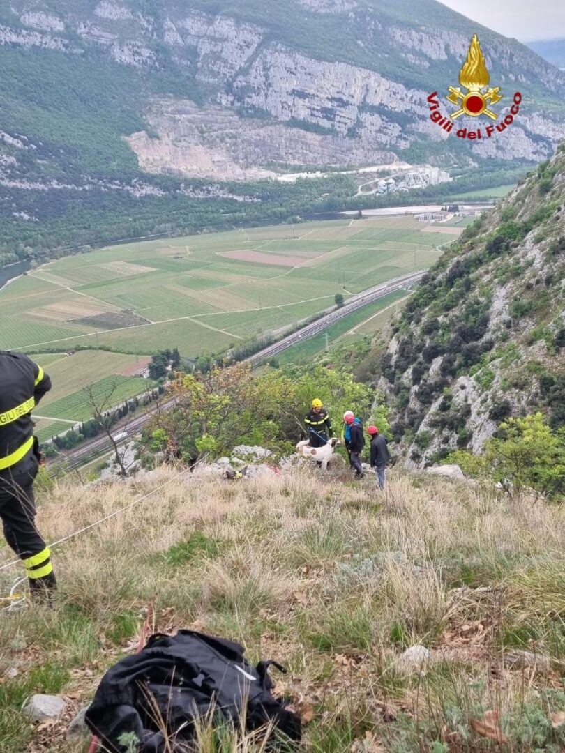 Cane salvato Caprino Veronese Vigili del Fuoco (3)